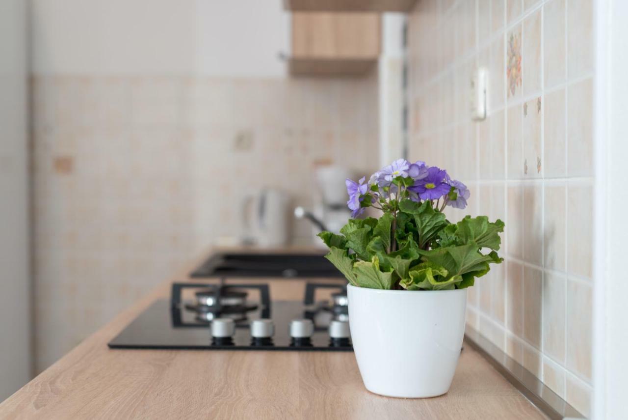 Luxury Apartment With Garden Jacuzzi And Wellness Трогір Екстер'єр фото